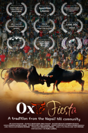 Goru Parwa – ‘Ox Fiesta’